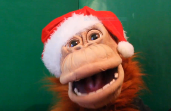 DocEmmet, IT-Berater des Weihnachtsmannes. (Copyright: CW) Affen-Plüschpuppe mit Weihnachtsmütze