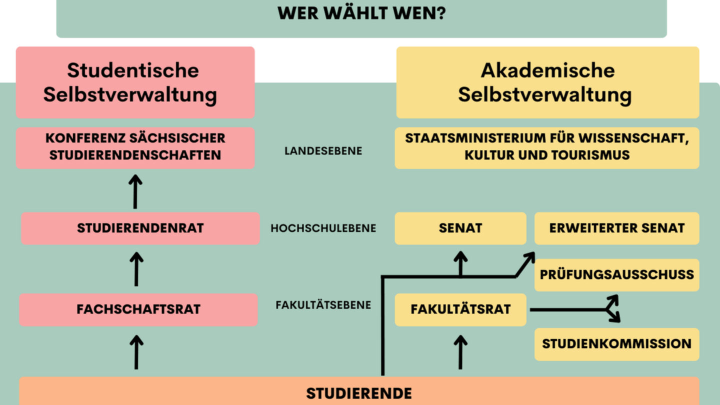 Aufbau der Studentischen Selbstverwaltung