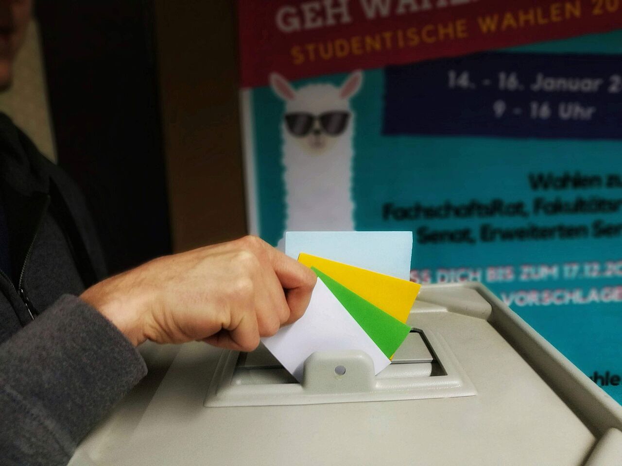 Vier verschiedene Stimmzettel werden in die Wahlurne geworfen
